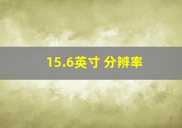 15.6英寸 分辨率